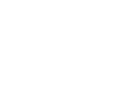 GE white logo
