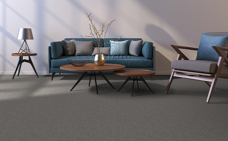 canada white lamp blue couch carpet